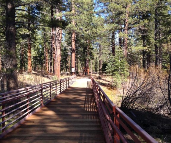 Snow Creek Stream Environment Zone (SEZ) Restoration Project, USA